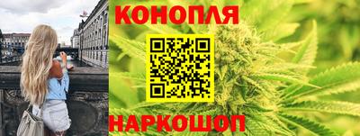 стаф Жуковский